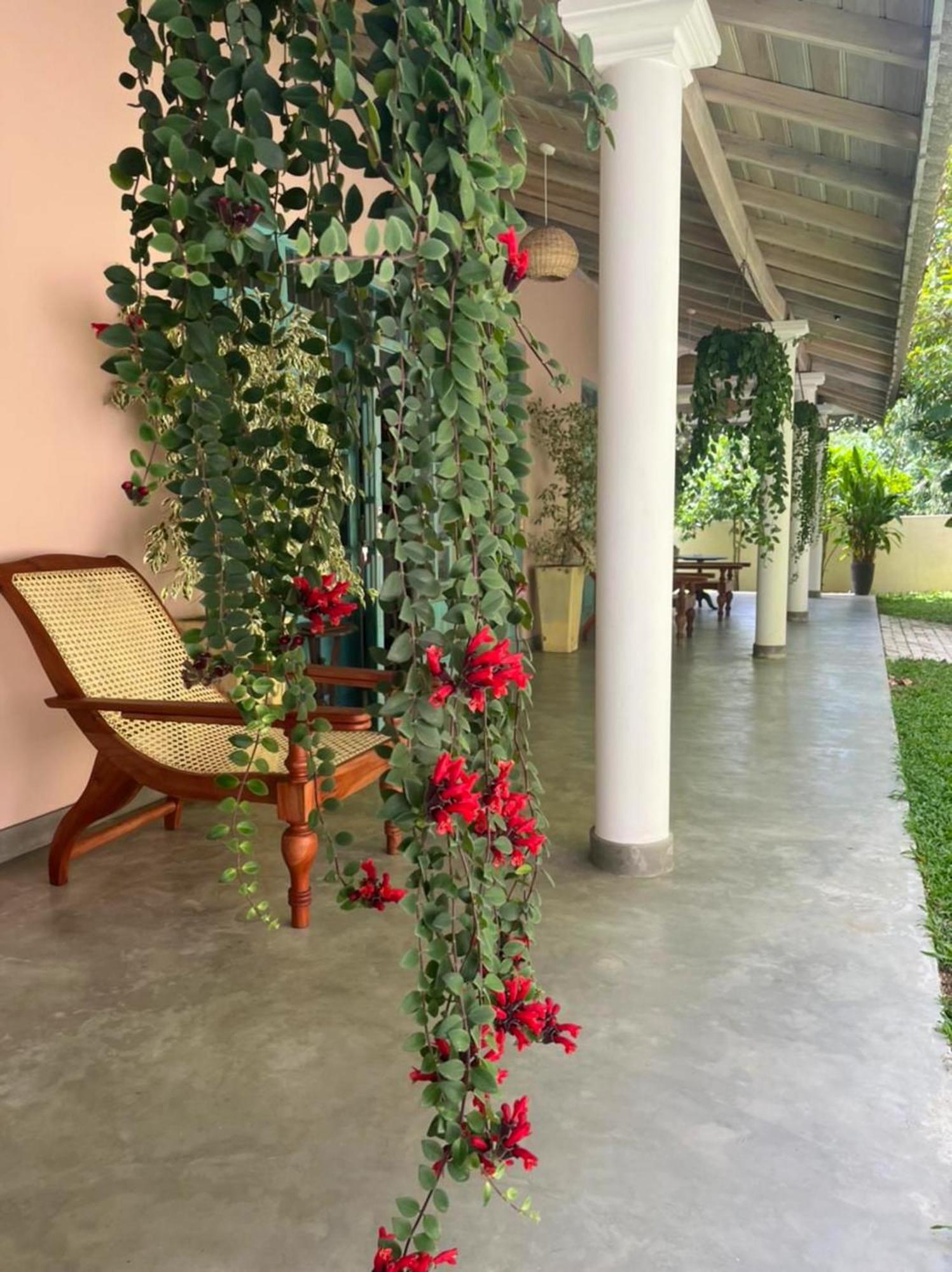Ronaya Surf Waves Villa Dikwella Bagian luar foto
