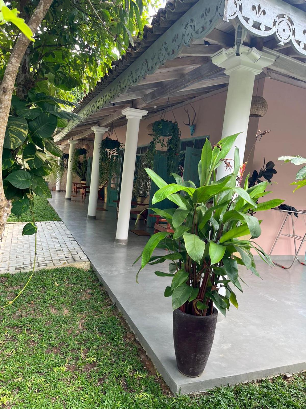 Ronaya Surf Waves Villa Dikwella Bagian luar foto